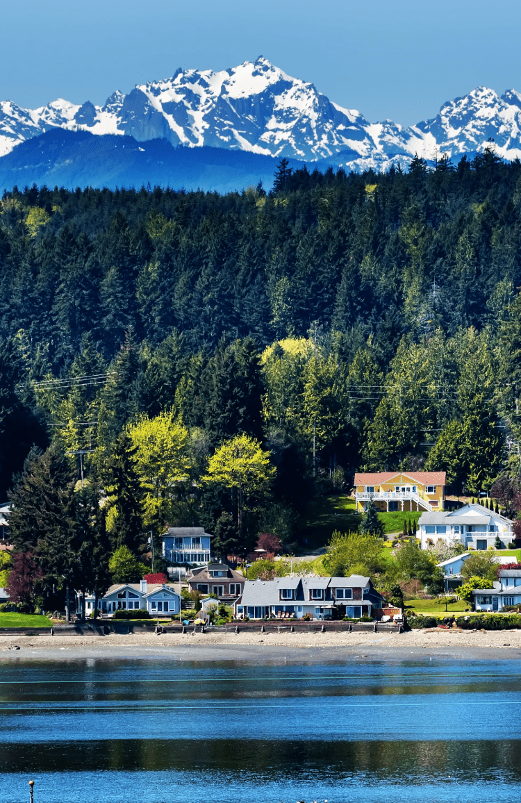 BAINBRIDGE ISLAND HOUSE CLEANING