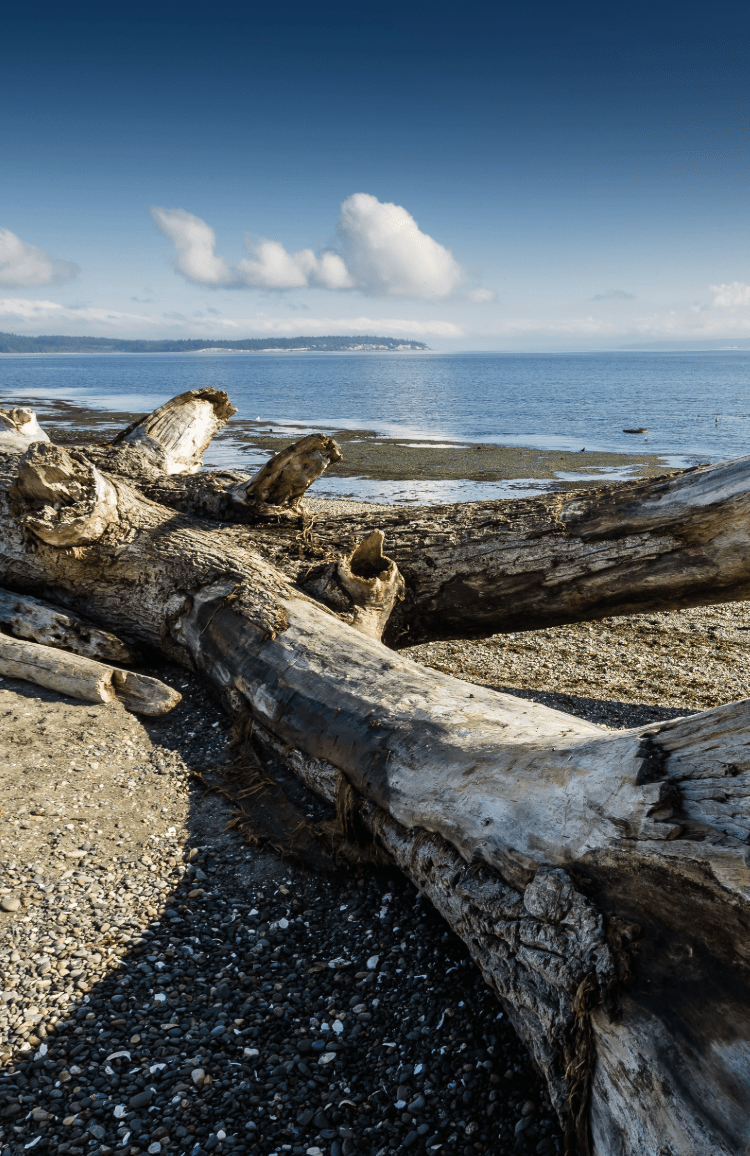 BAINBRIDGE ISLAND HOUSE CLEANING