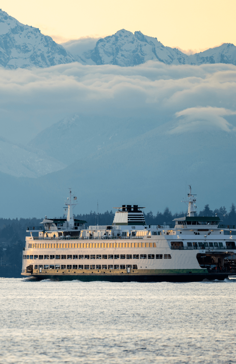 BAINBRIDGE ISLAND HOUSE CLEANING
