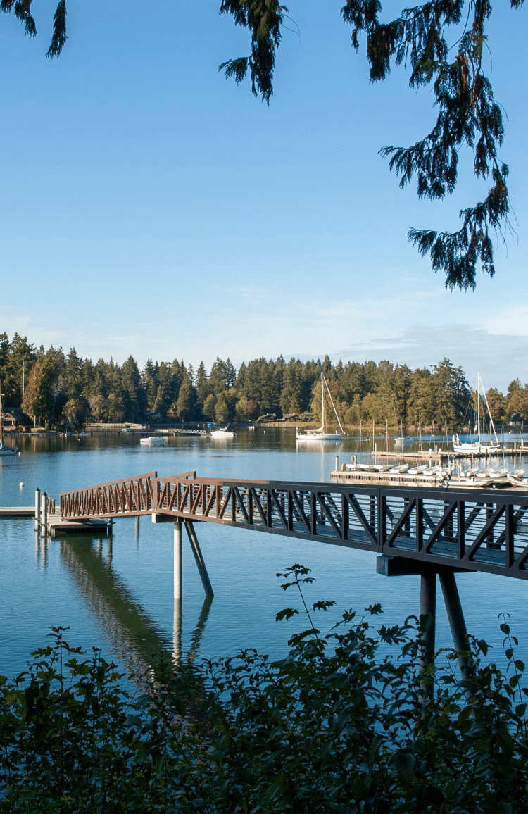 BAINBRIDGE ISLAND HOUSE CLEANING