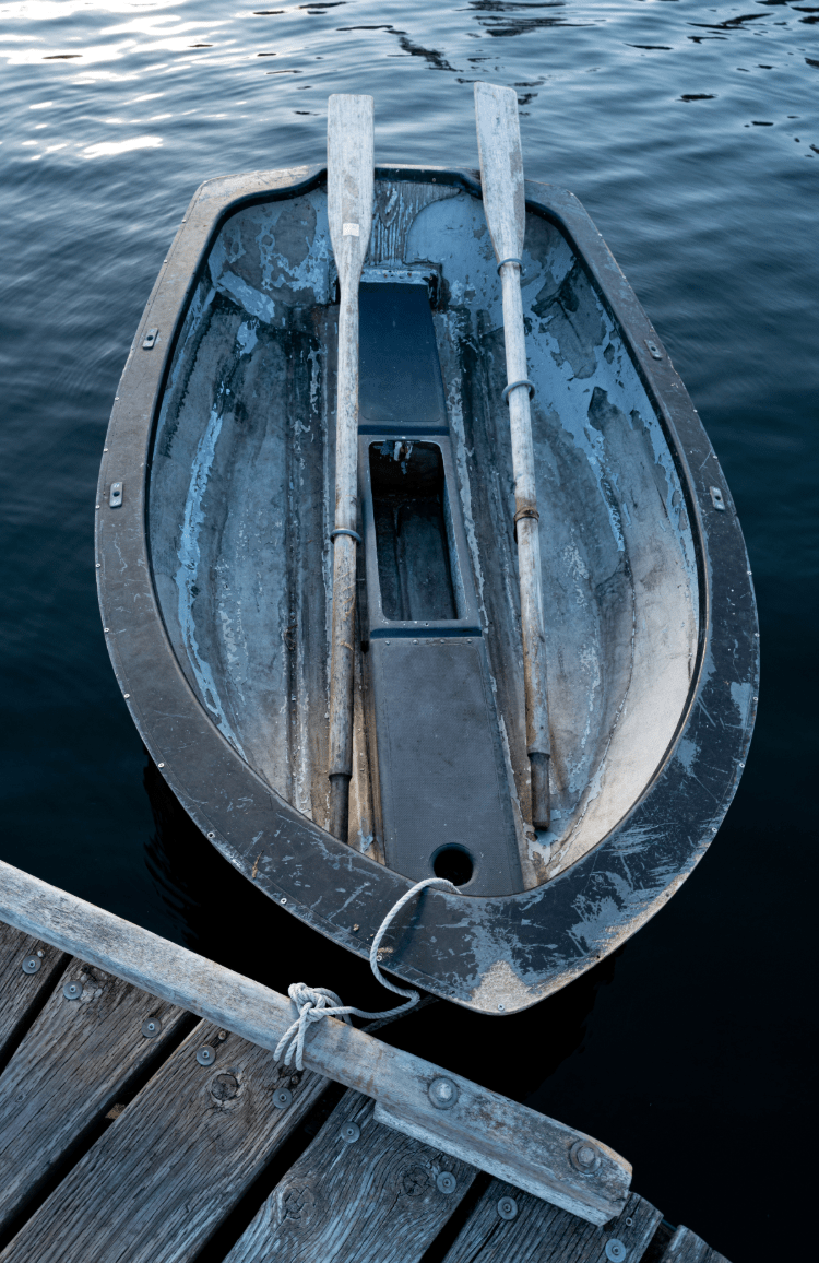 BAINBRIDGE ISLAND HOUSE CLEANING